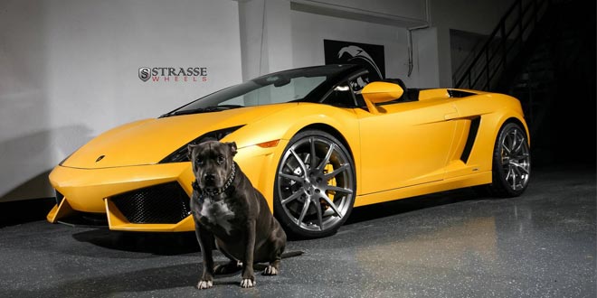 Lamborghini Gallardo Spyder на дисках Strasse Wheels
