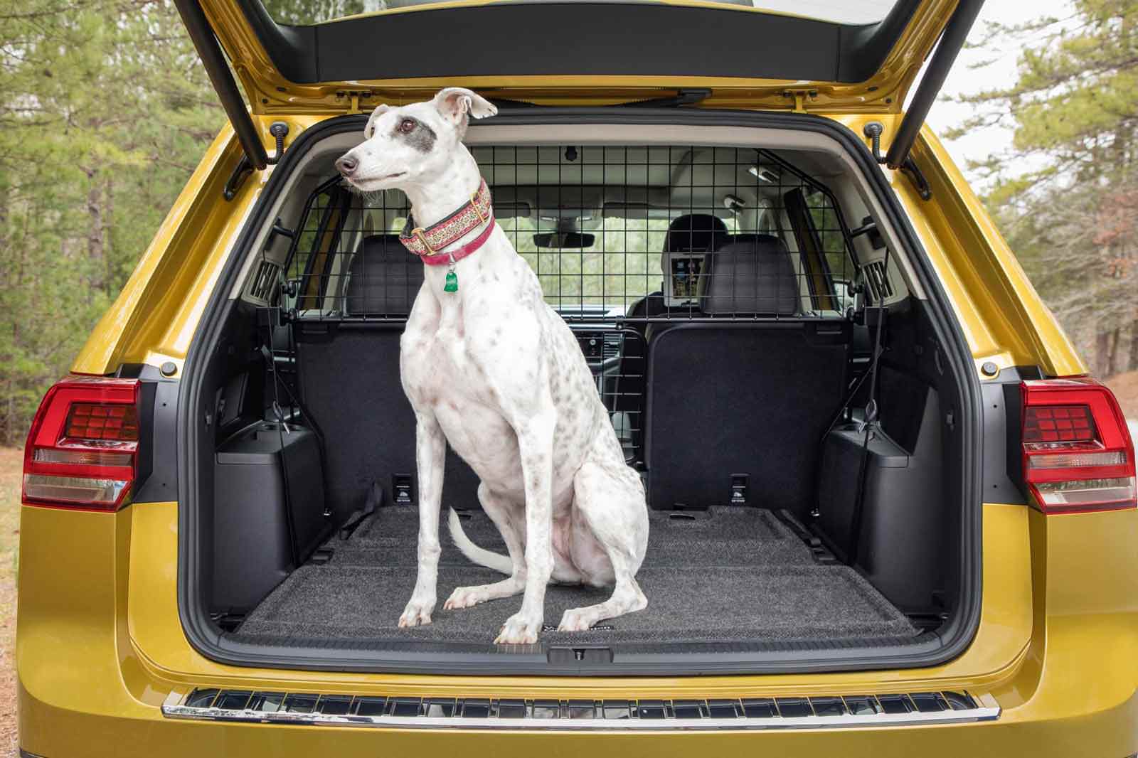 Volkswagen Tiguan багажник собака