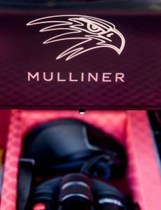 Рисунок сокола от Mulliner