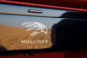 Голова сокола от Mulliner