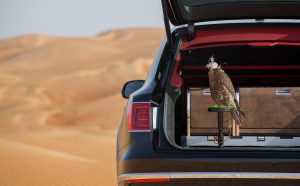 Сокол балобан и Bentley Bentayga Falconry