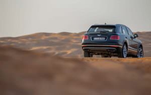 Bentley Bentayga Falconry от Mulliner для соколиной охоты