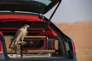 Багажник Bentley Bentayga Falconry с соколиными аксессуарами