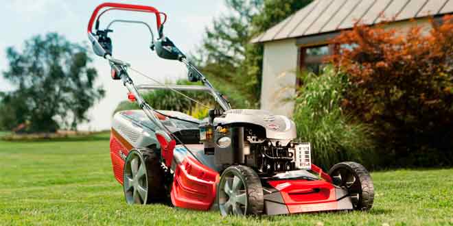 Компания Remtex: профессиональный ремонт садовой техники