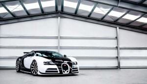 Bugatti Veyron Mansory Vivere в панда-окраске: 1 из 2