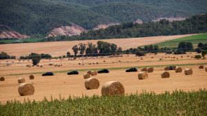 Предсерийные прототипы Porsche Cayenne 2018 на испытаниях