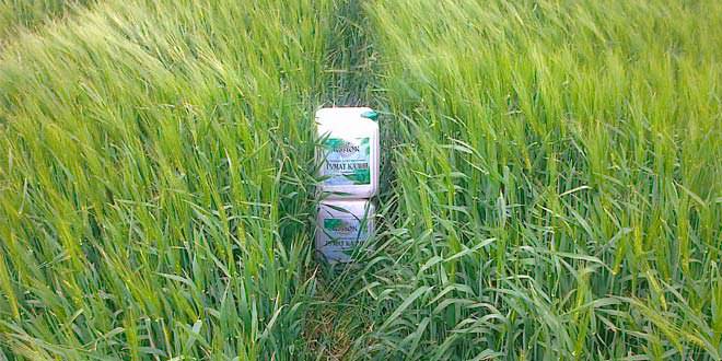 Гуматы - незаменимые помощники садоводов и огородников