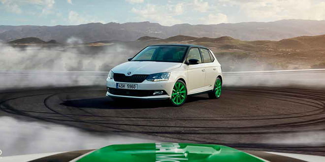 Вышла Skoda Fabia WRC Special Editon в честь ралли | фото