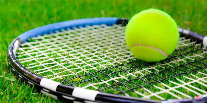 Магазин TennisGo - все что нужно для тенниса покупаем здесь