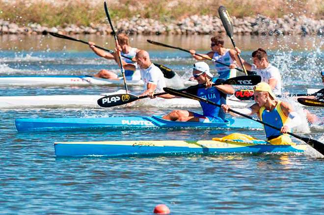 Хороший тренажер для гребли — что предлагает Zhelezzo