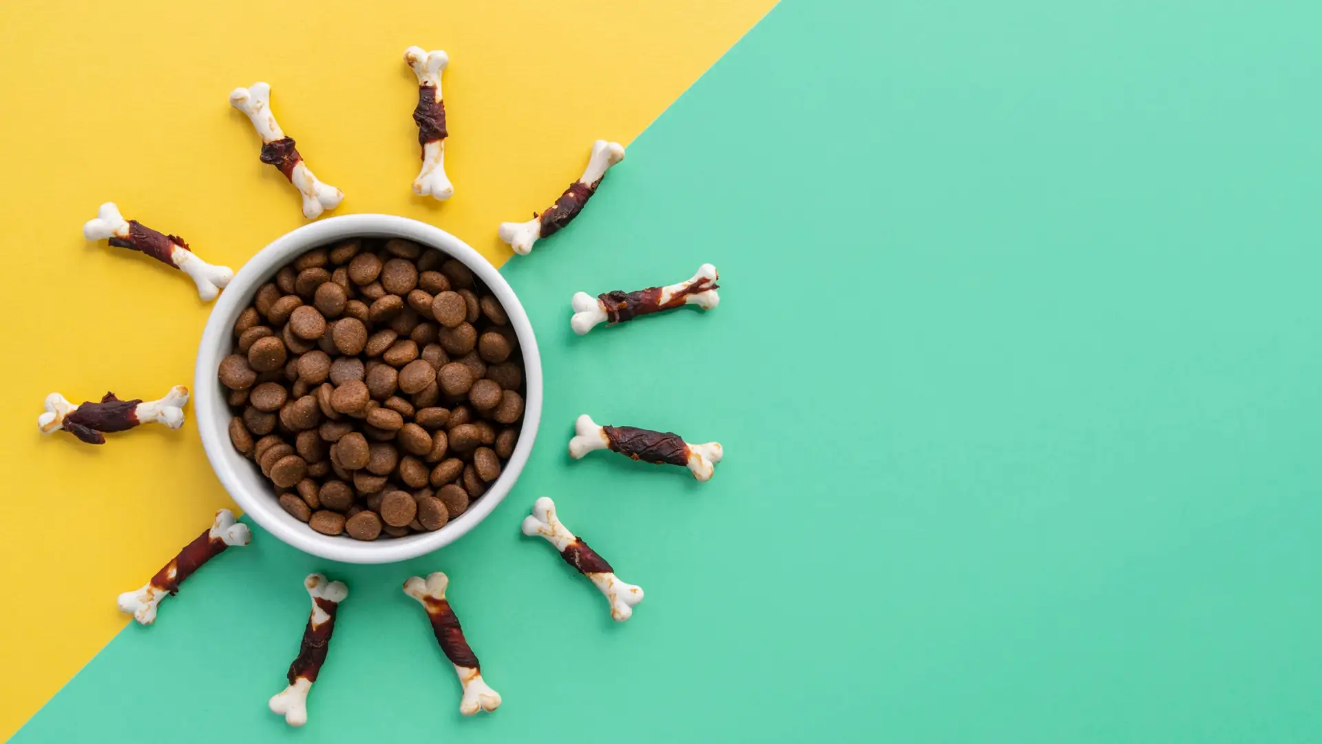 Отличия кормов для кошек и собак холистик, суперпремиум, премиум и эконом