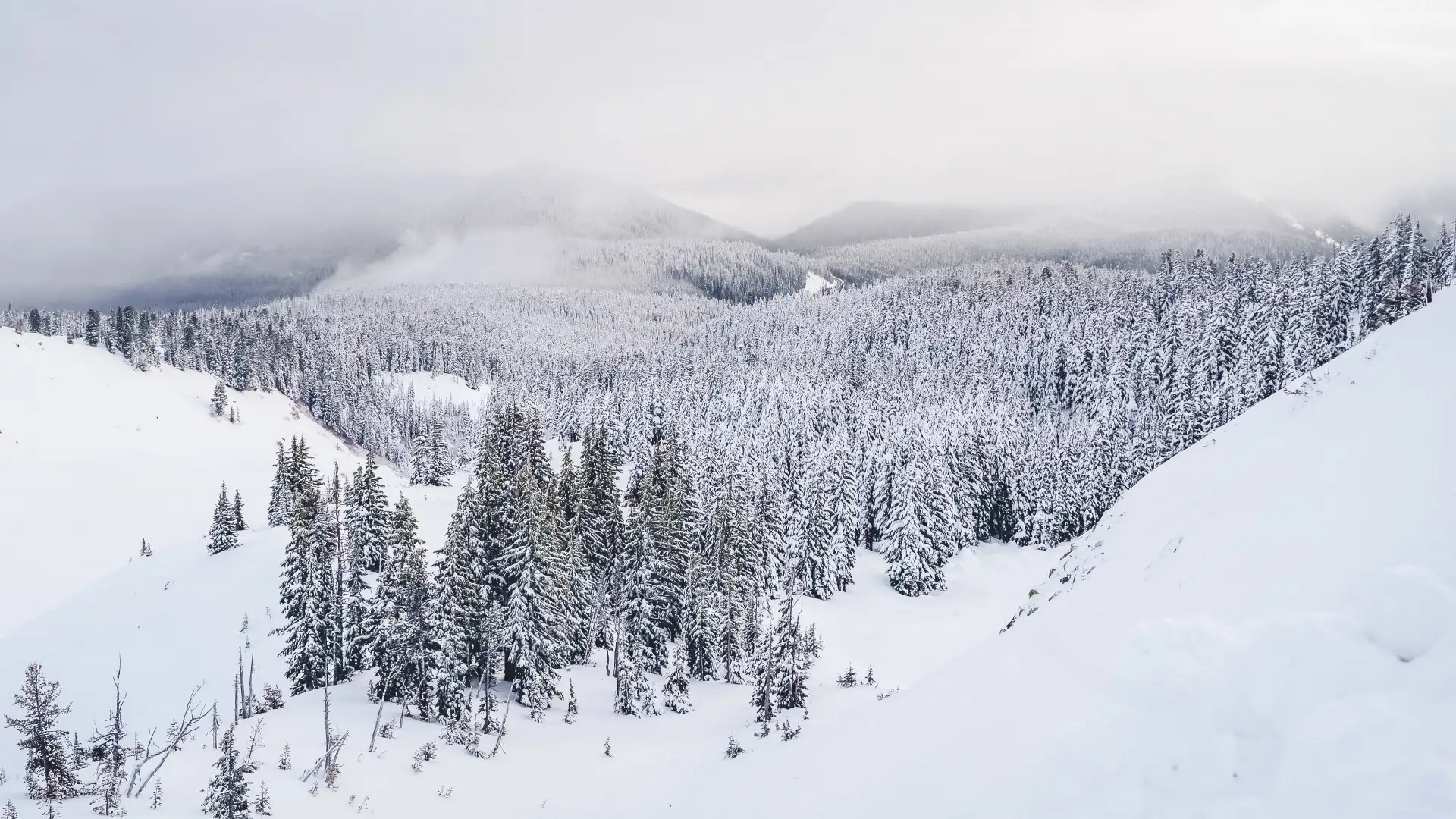 Зимові тури з Тернополя. 4 ідеї де провести міні-відпустку в лютому