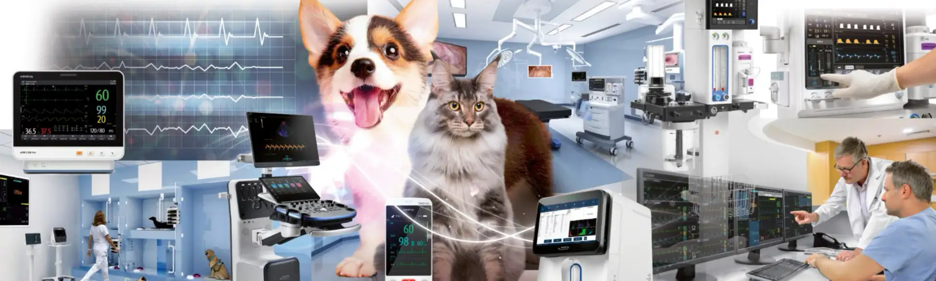Устаткування для ветеринарних клінік: Ручні УЗД апарати без модуля ФКГ та ЕКГ від найкращих виробників Італії та Китаю